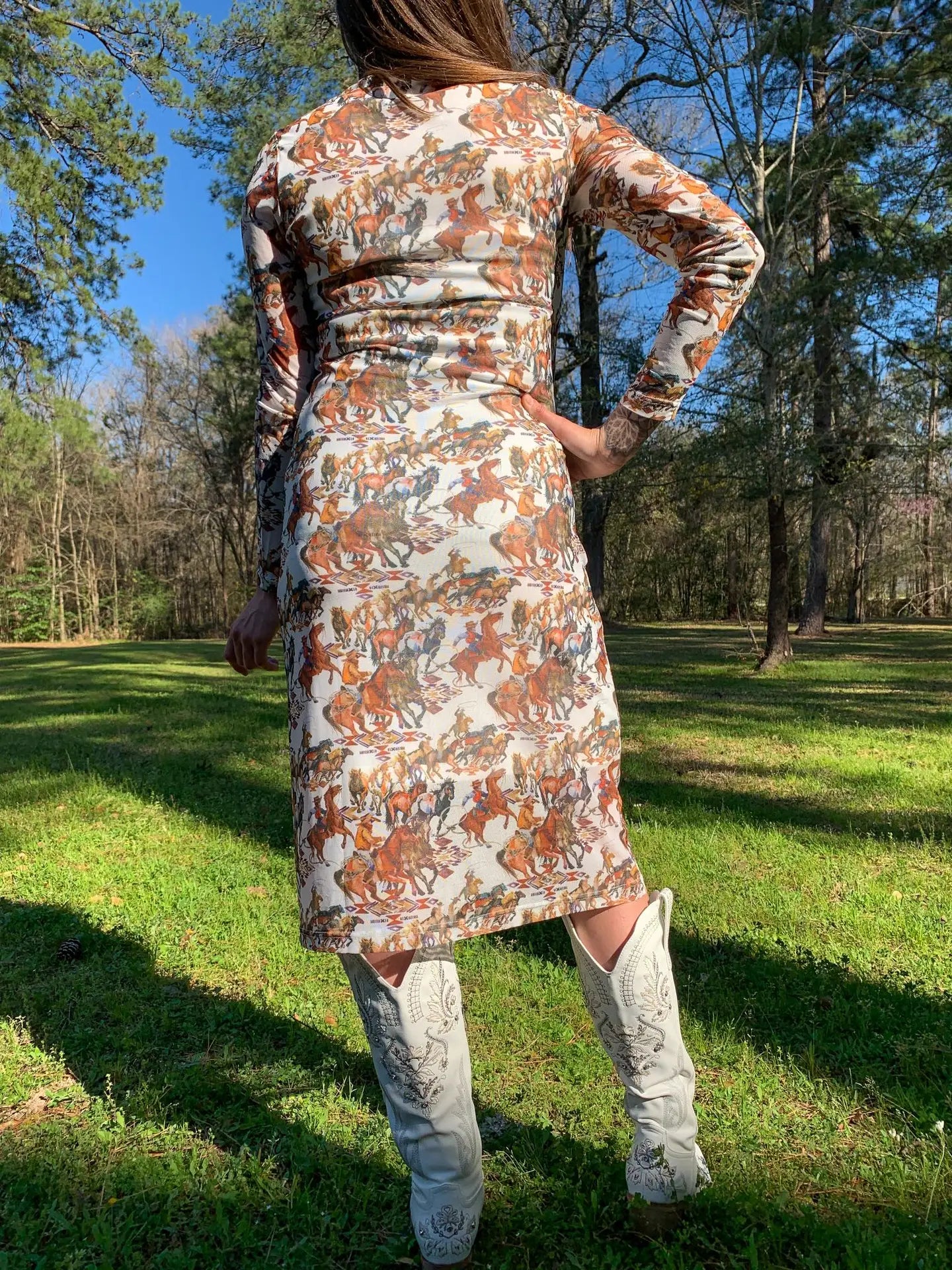 BUCKAROO PRINT MESH DRESS