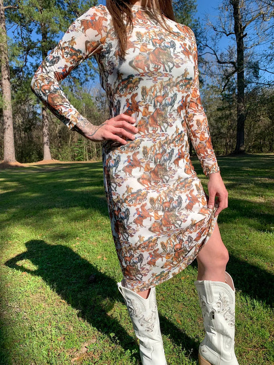 BUCKAROO PRINT MESH DRESS