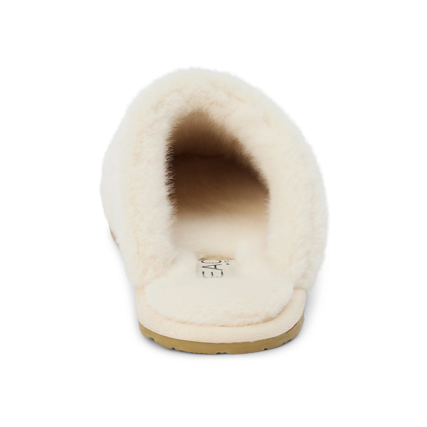 MATISSE LOUNGE SLIPPER