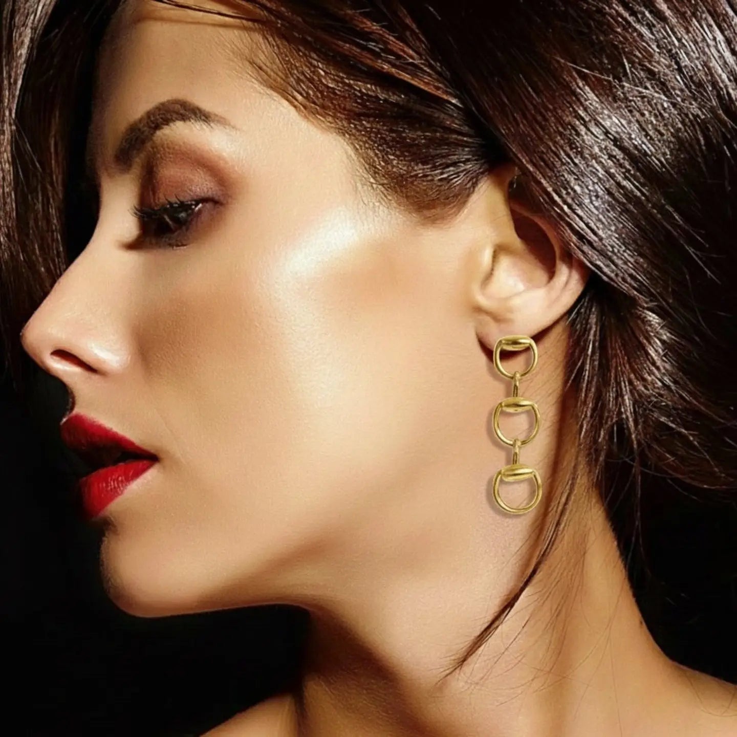EQUESTRIAN LINK DROP EARRINGS